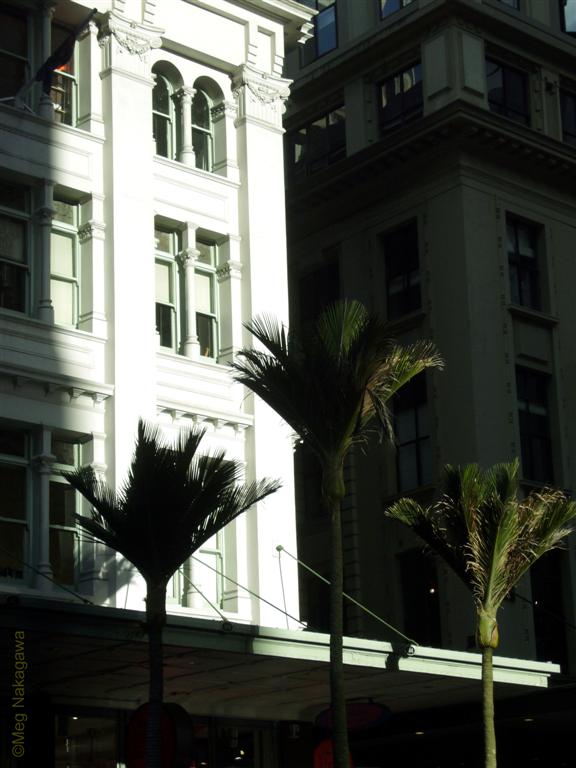 [pP1140411+(Large).JPG]