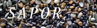 My Food Blog