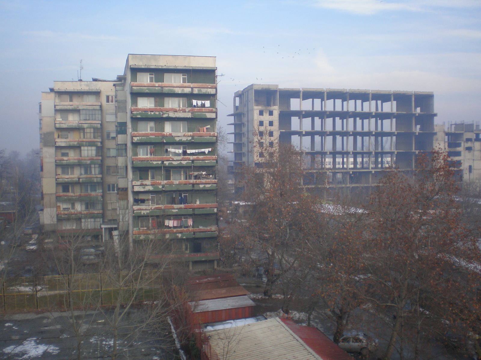 [P1210029.JPG]