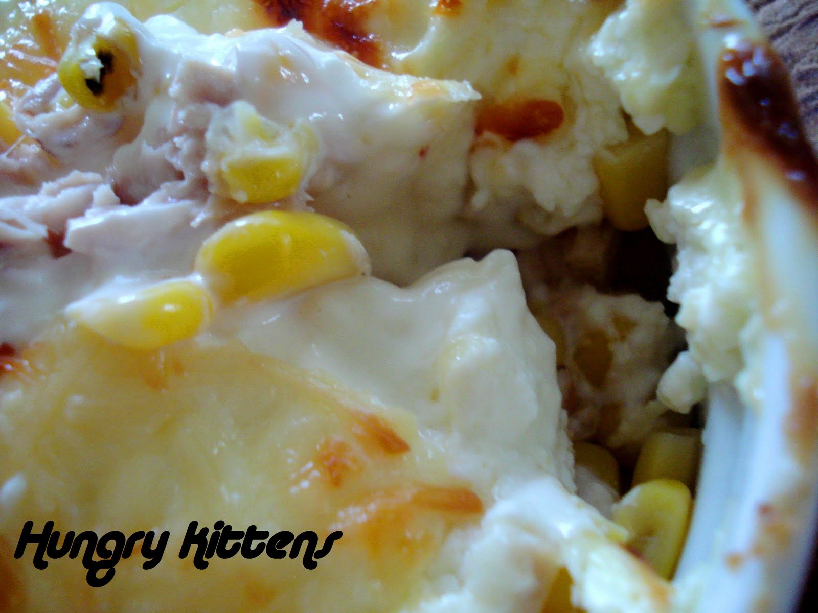 Hungry Kittens Tuna and Corn Dip with Pita Chips