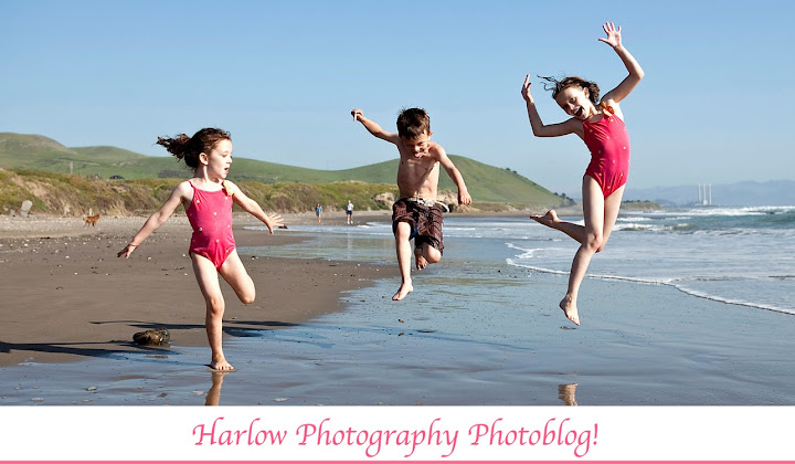 Harlow Photography