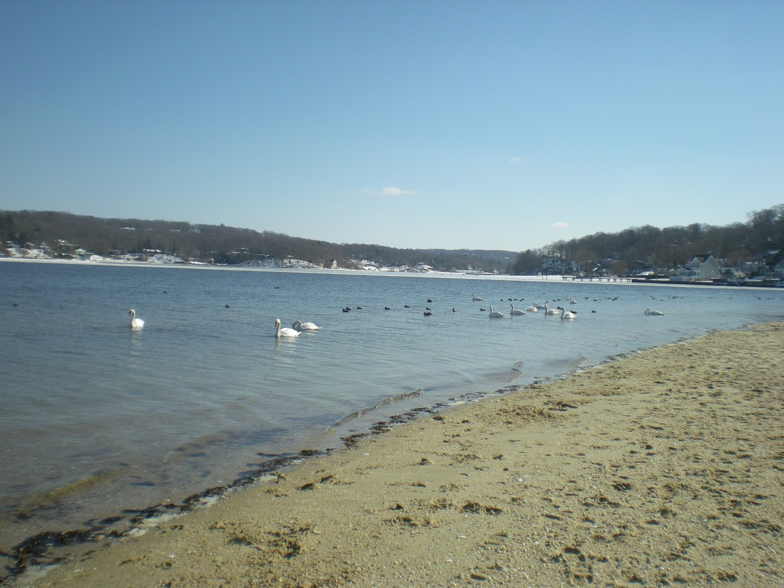 Jarvis House Fleets Cove Beach with the Winter's Snow