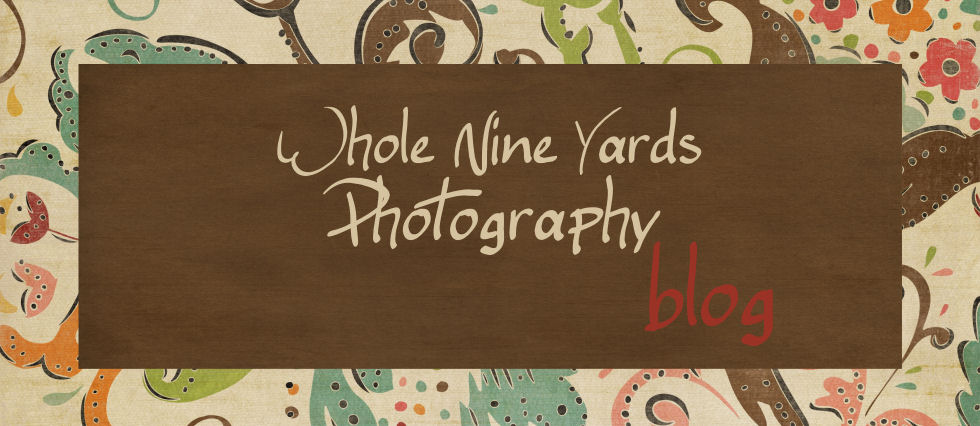 Whole Nine Yards Photography