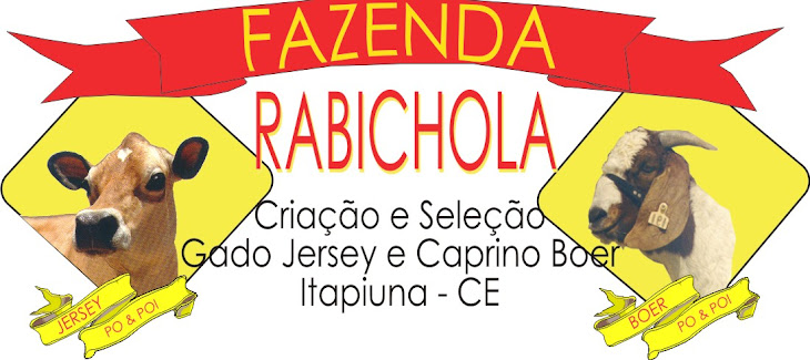 FAZENDA RABICHOLA