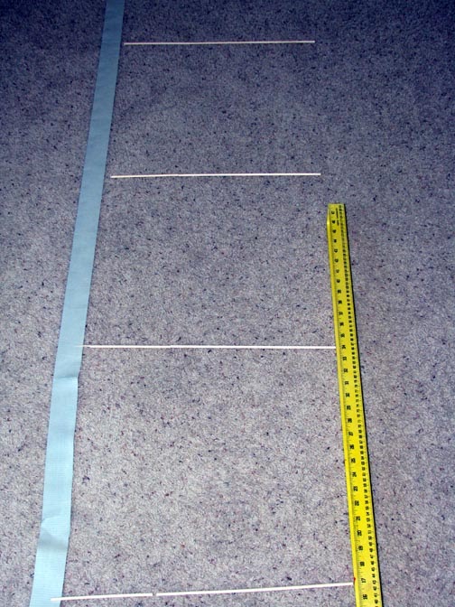 IronMakeover Duck Tape Agility Ladder