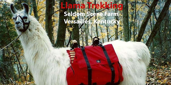 Llama Treks at Seldom Scene Farm in Kentucky