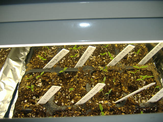 [2010_0220Image0004.JPG]