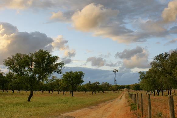 [Alentejo.JPG]