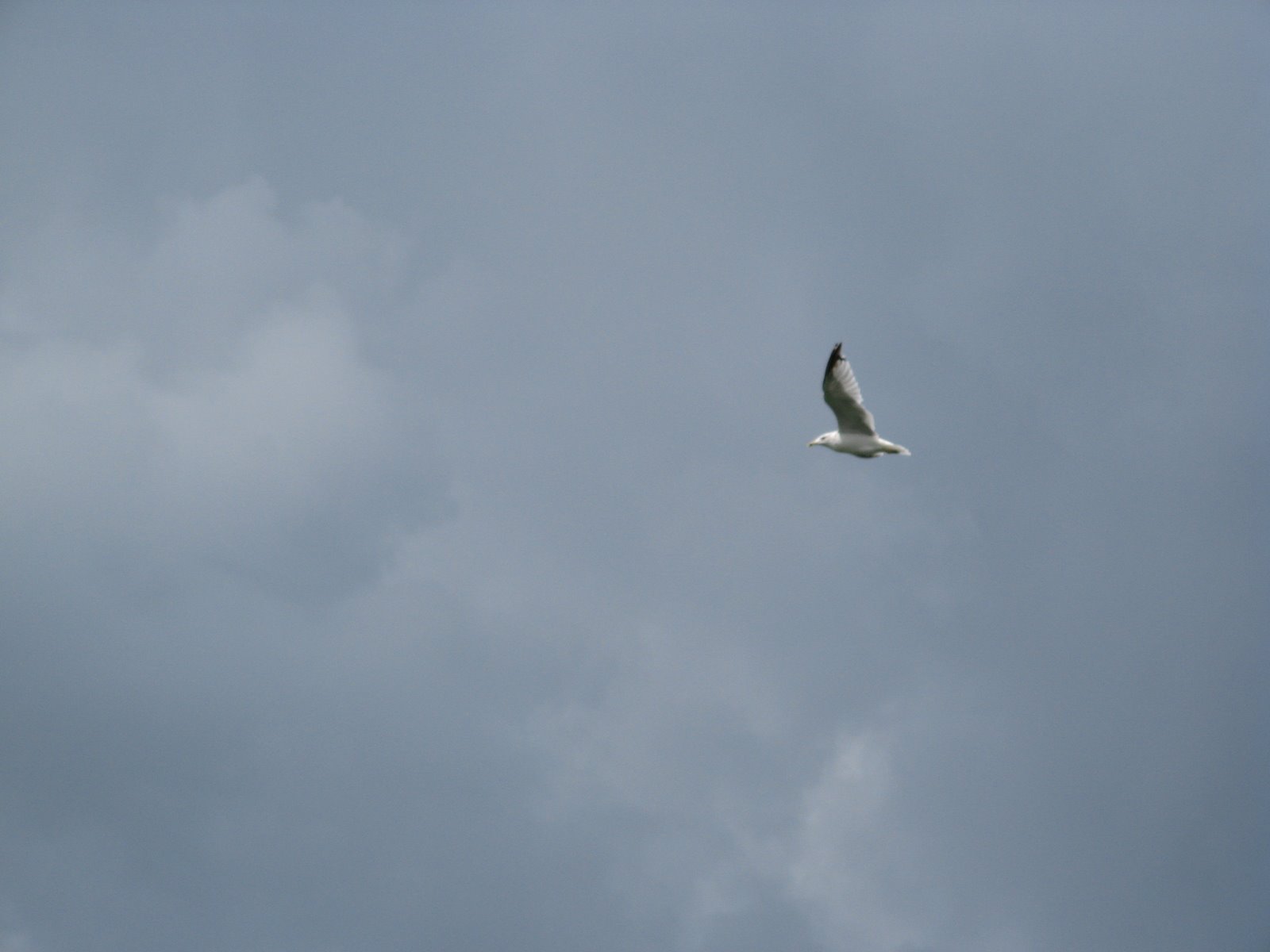 [IMG_1413.JPG]