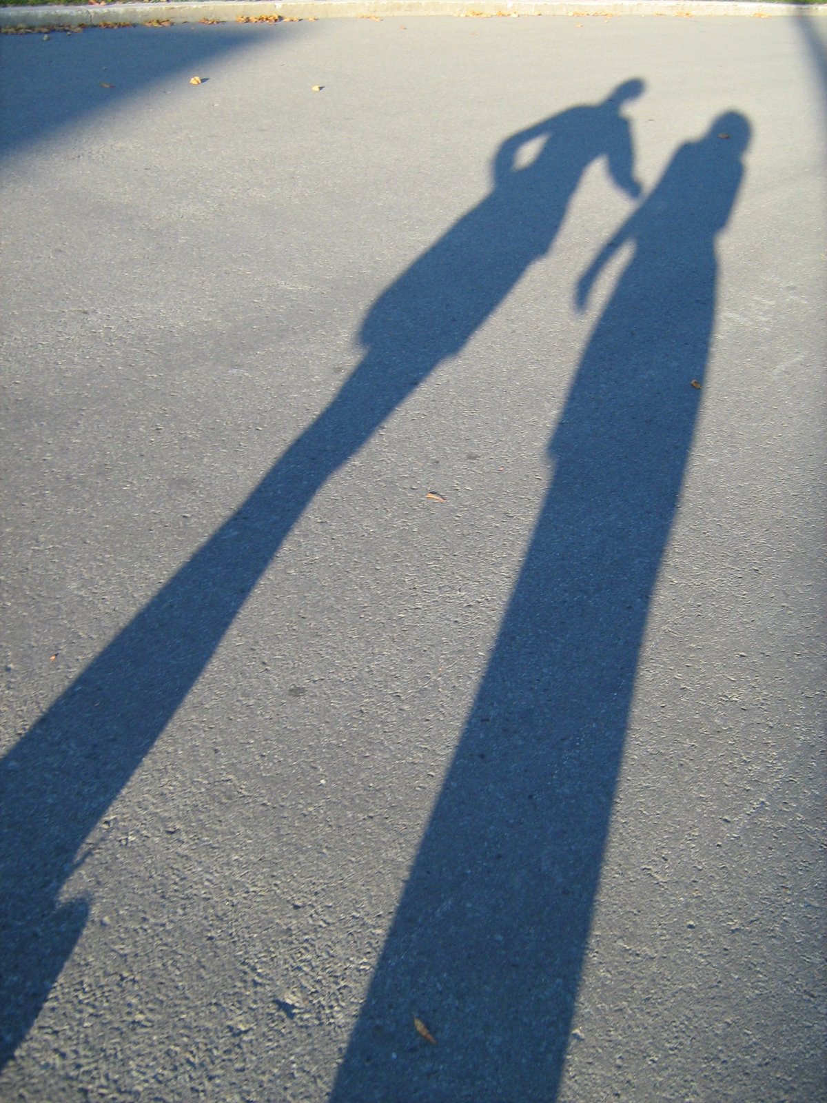 [shadows.jpg]