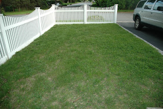 growing kids growing food: Edible Front Yard Project UPDATE!