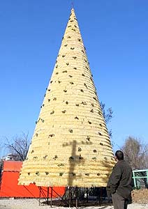 [436453-2266-cp.jpg]