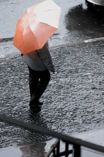 [chuva.gif]