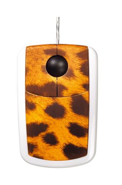 [mouse016.jpg]