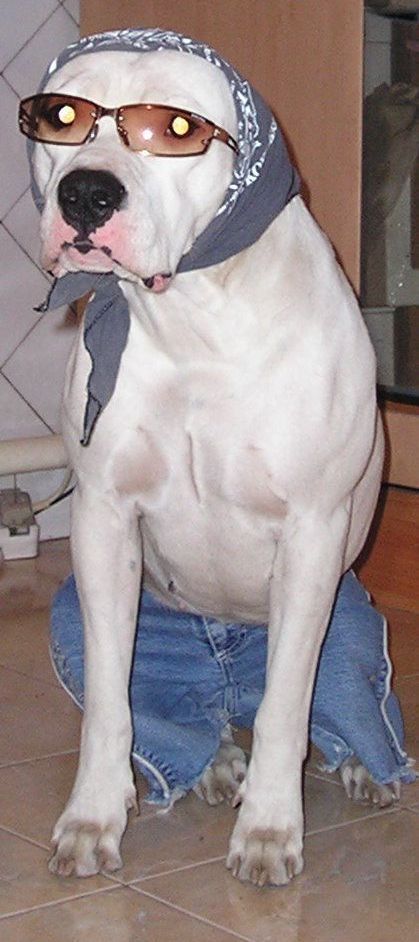 [caes20080412_04.jpg]