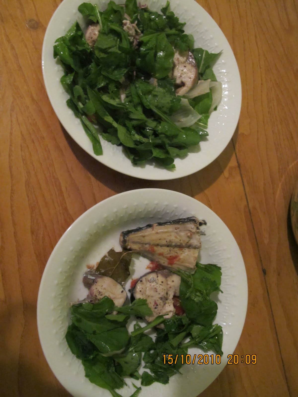 koruma programı Ekim 2010