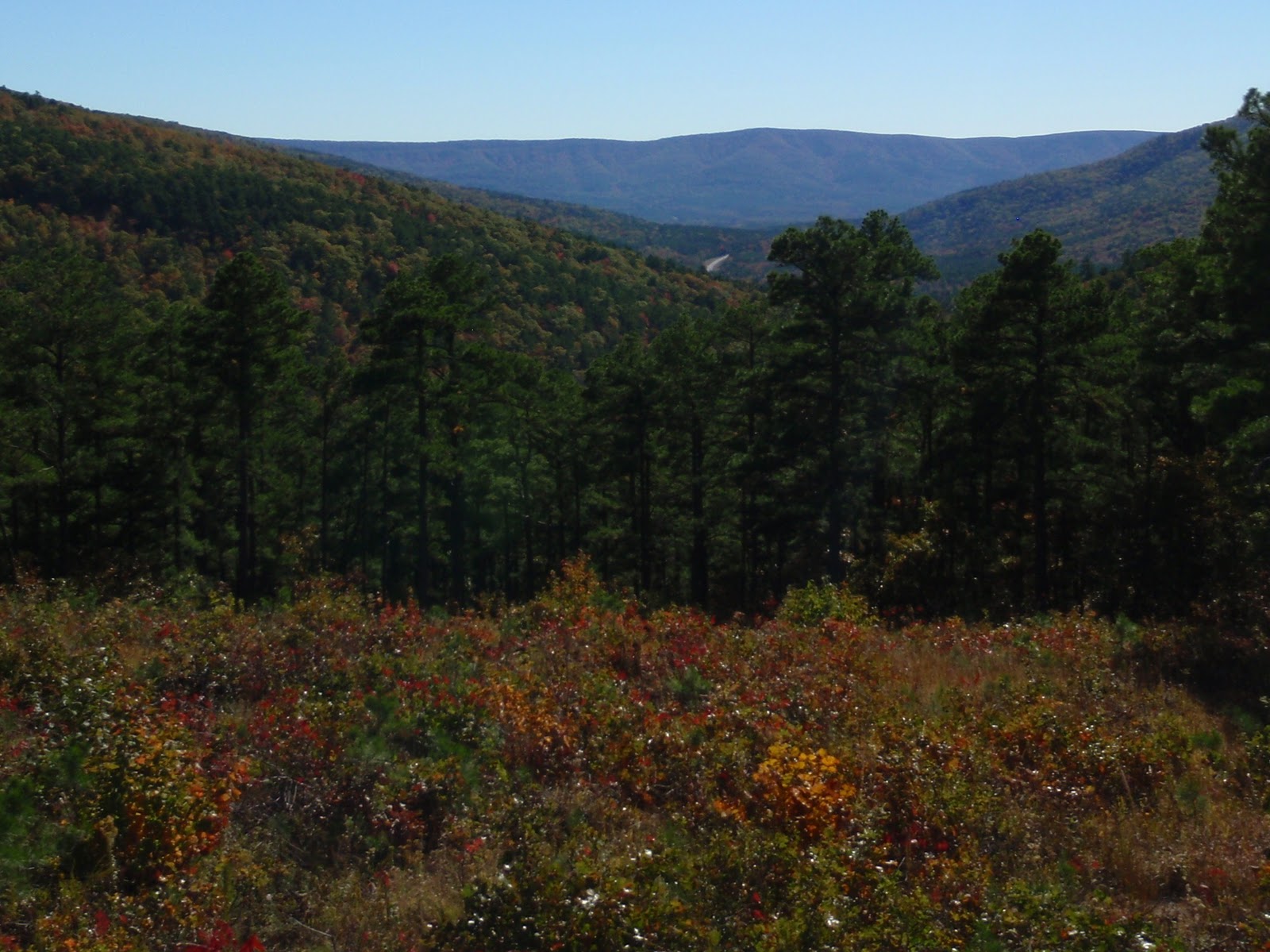 Arkansas Adventurer Quachita Mountains, near Mena, AR