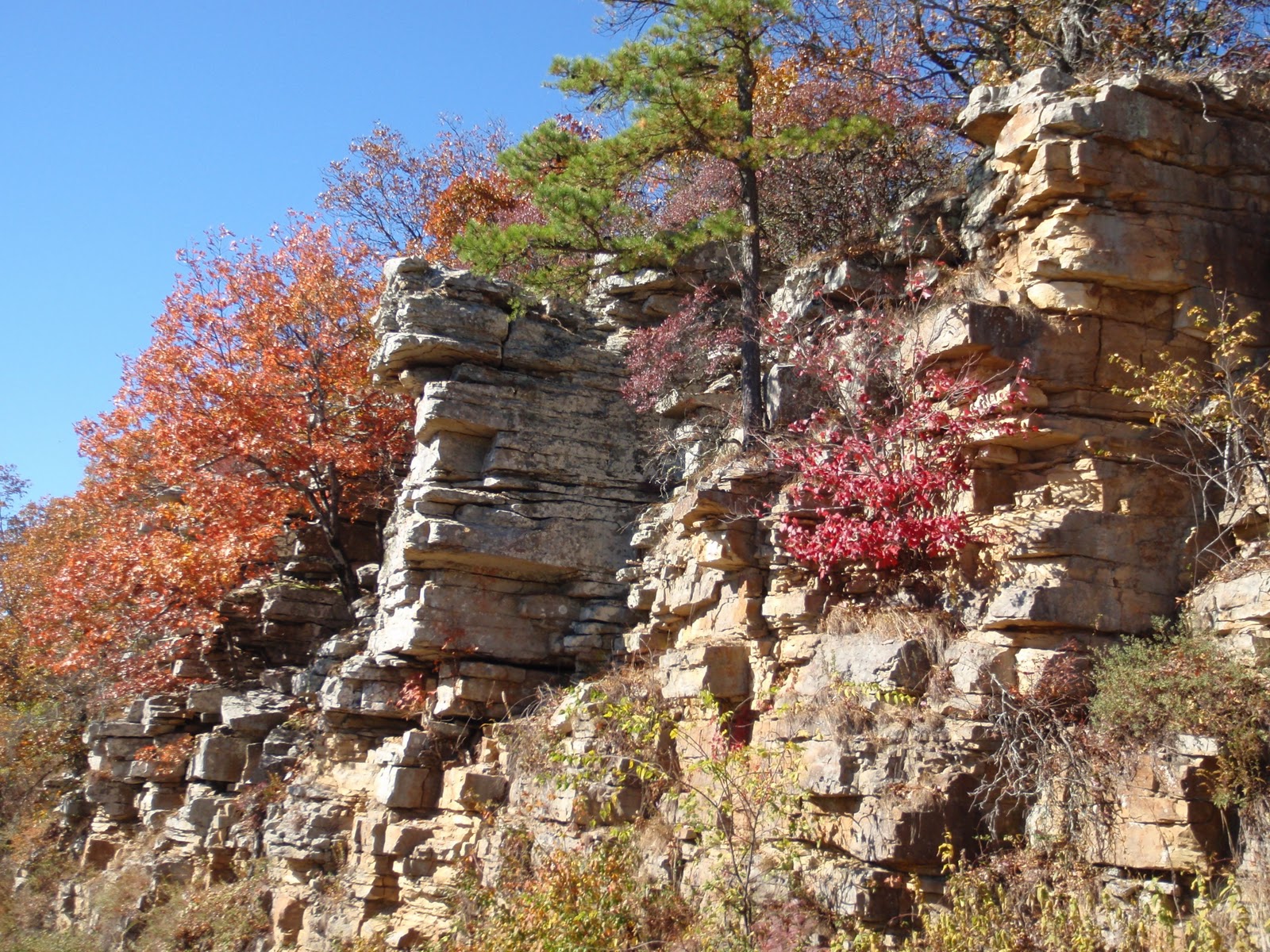Arkansas Adventurer Quachita Mountains, near Mena, AR