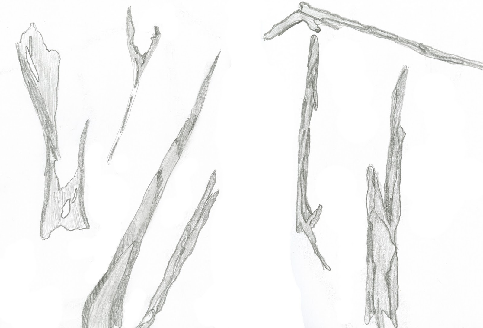 twig drawing