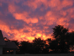 Sunset from the backyard!