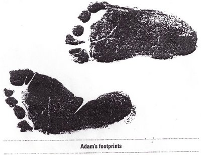 [BabyAdam.jpg]
