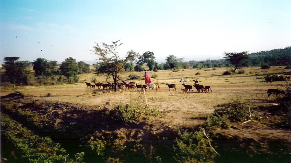 [06+Masai+mara.jpg]