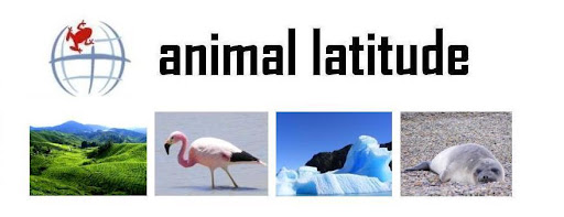 animal latitude