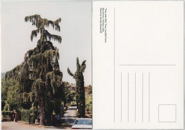 [treeaskswhy-2009.jpg]