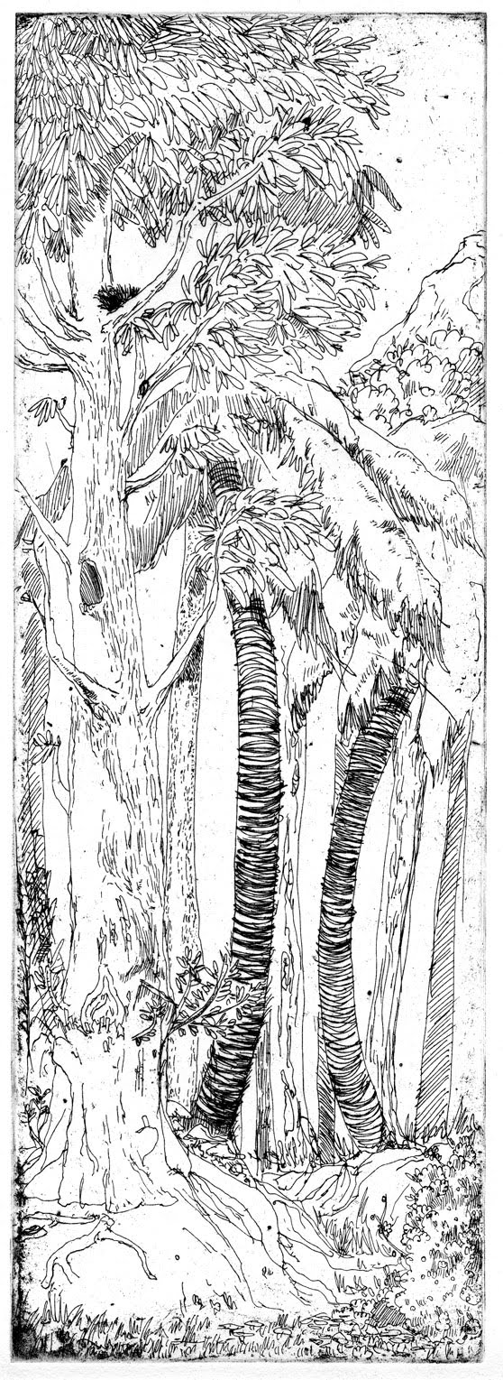 [grand_arbre.jpg]