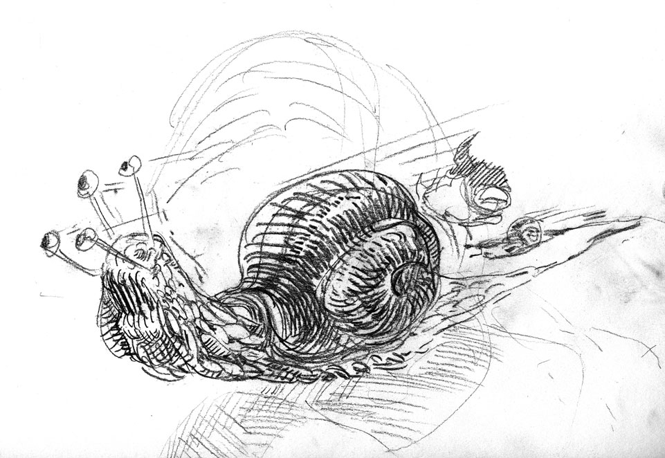 [escargot.jpg]