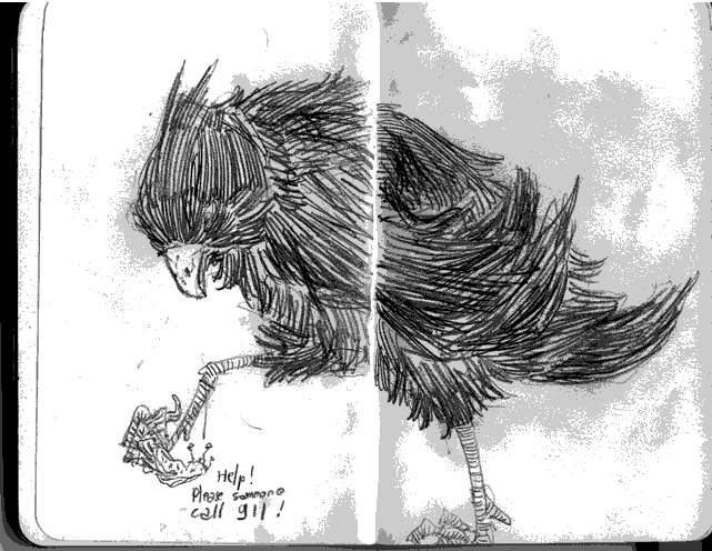 [oiseau.png]