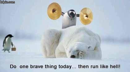 [brave+thing+penguin.jpg]