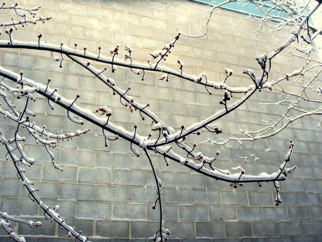 [DSC04738.JPG]