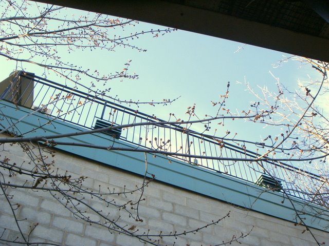[DSC04199.JPG]