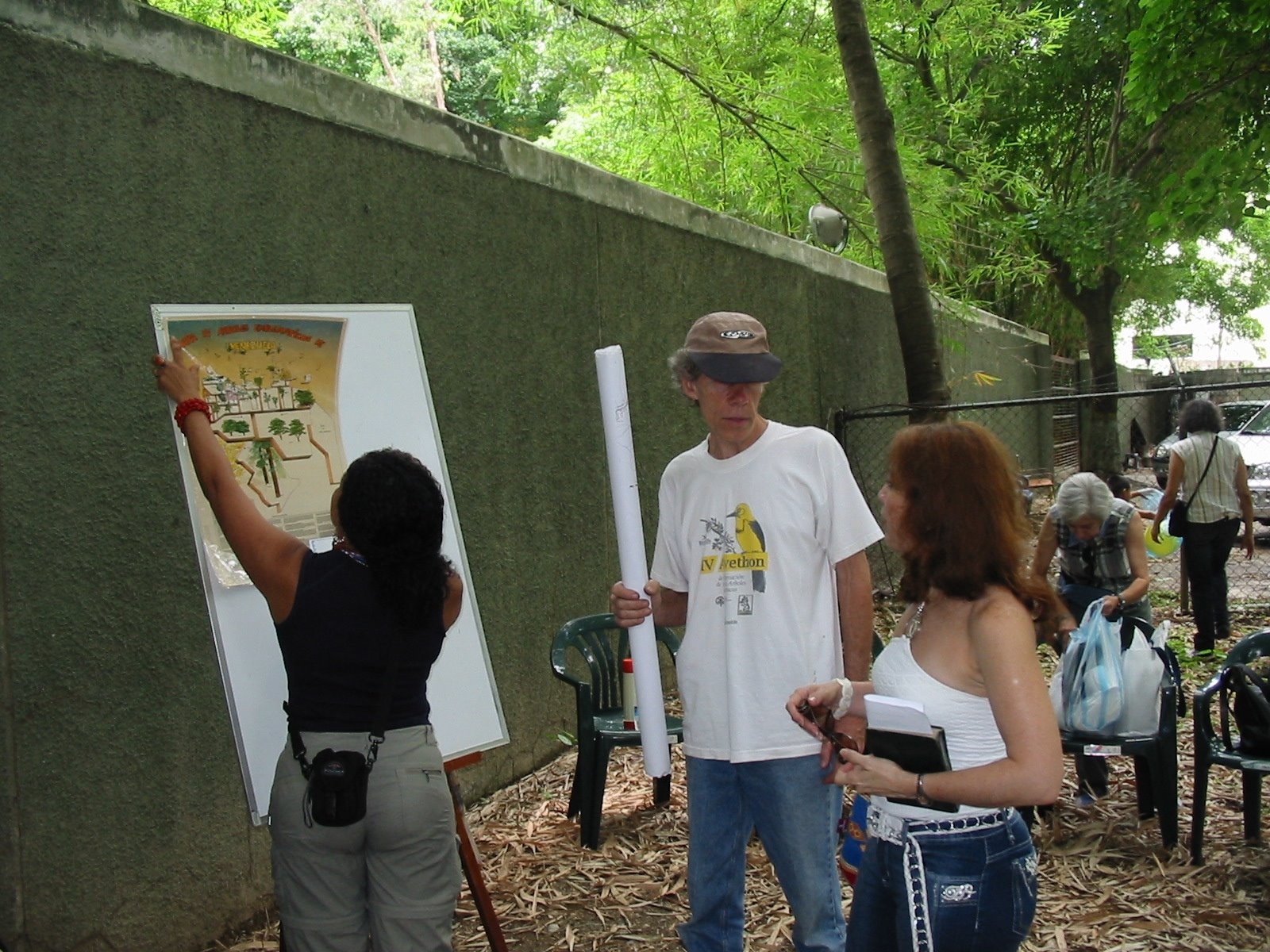 [aprende+a+conocer+tus+arboles+1.JPG]