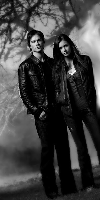 Damon And Elena