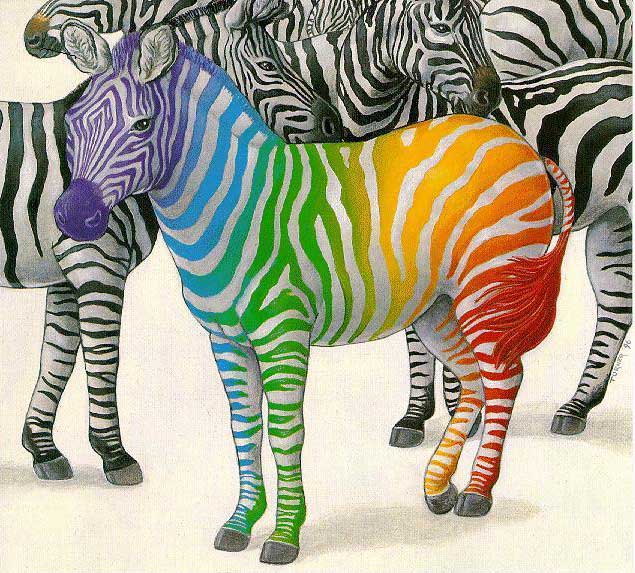 Je veux [...] Rainbow+zebra