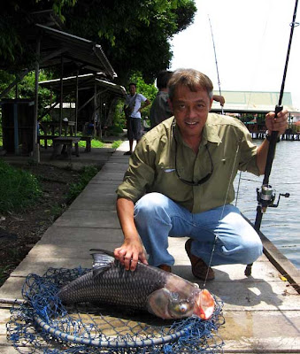 Largest+mekong+catfish