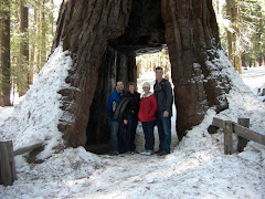 Yosemite with the Jennings 2009