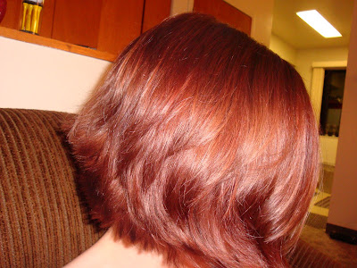 Flight of the Chickadee: Cinnaberry!