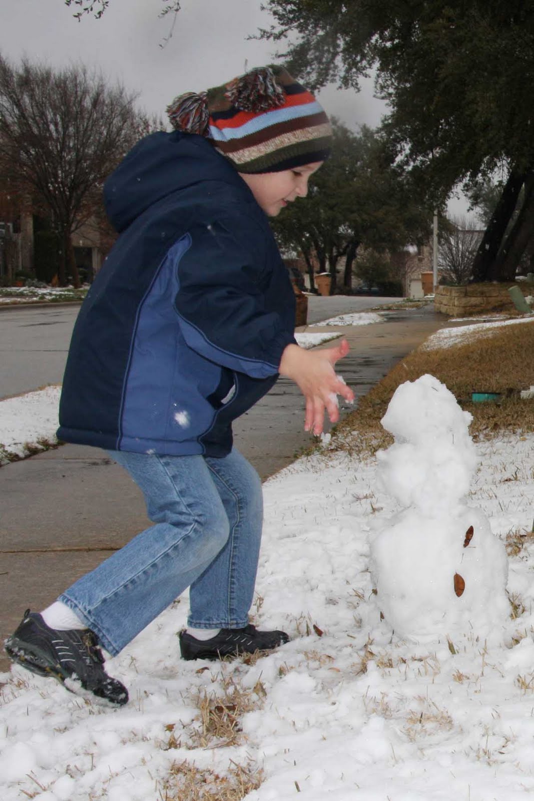 [snow_jp.jpg]