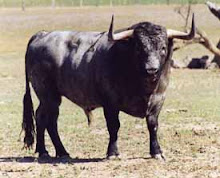 Defesa da Tauromaquia