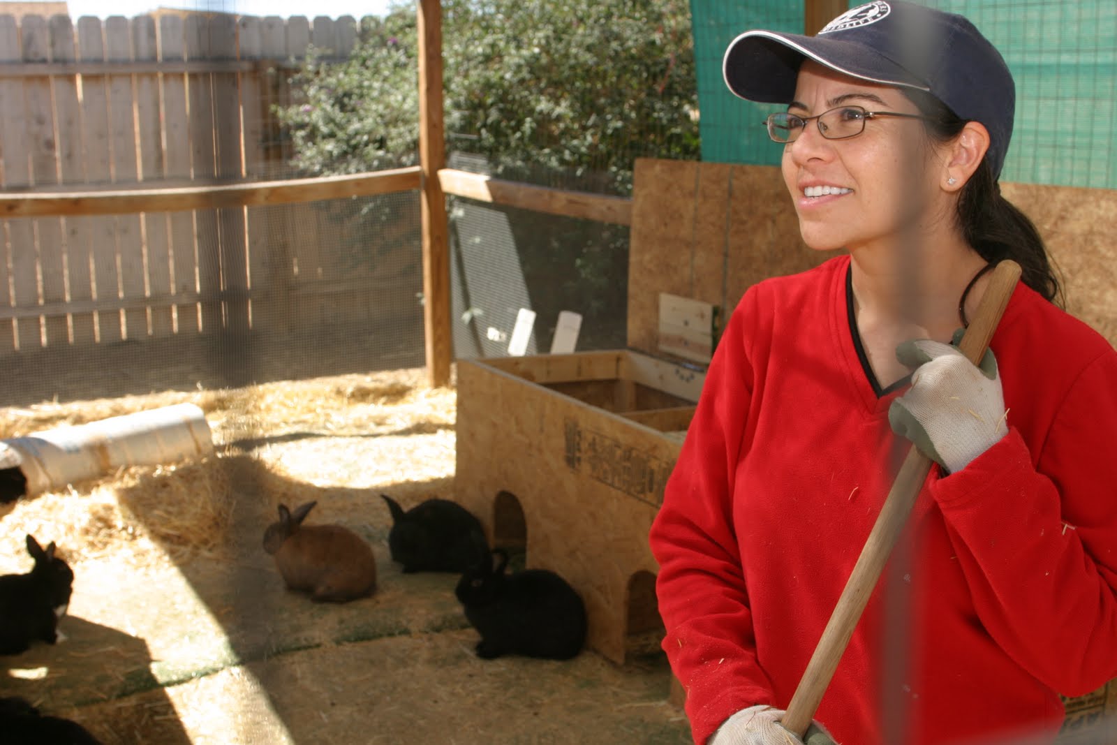 Travelin' Jack's Dog Blog Watermelon Mountain RanchAnimal Shelter