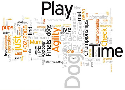 The Days of Johann, an agility dog! 11/1/08  12/1/08