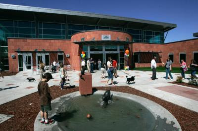 Raise A Green Dog New Eco Friendly Shelter Aims To Increase Pet Adoption While Providing Lowest Impact On Environment