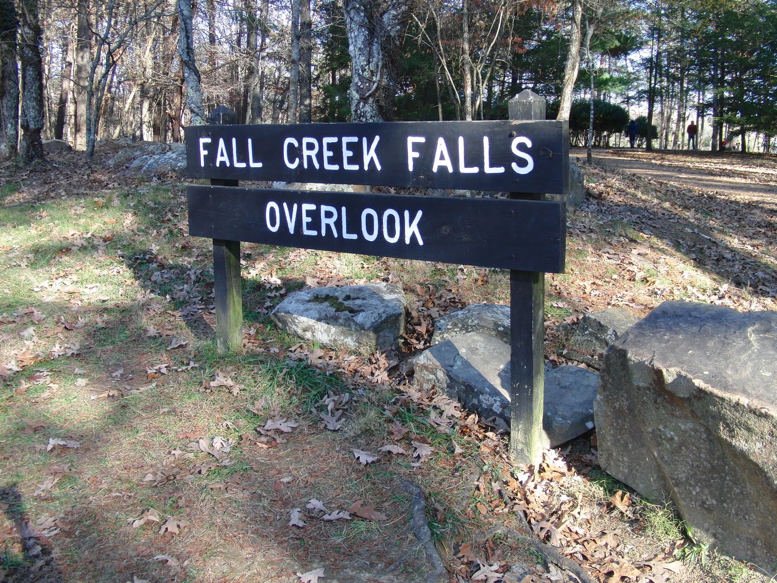 The Days of Johann, an agility dog! Our trip to Fall Creek Falls State