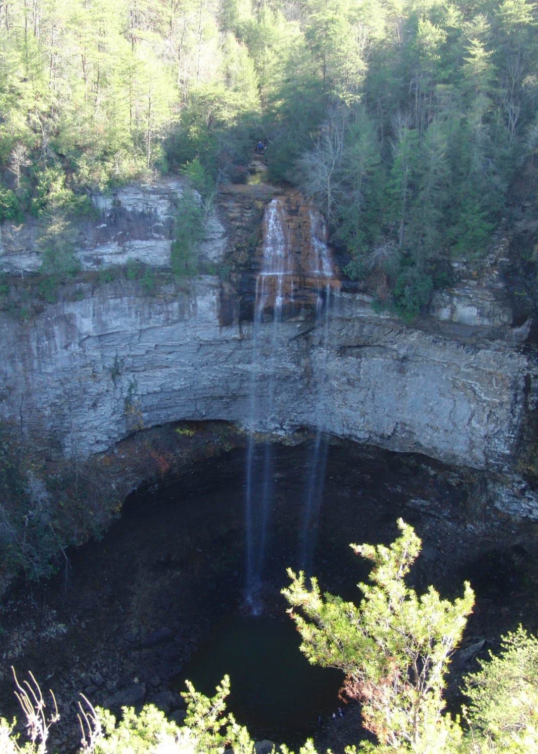 The Days of Johann, an agility dog! Our trip to Fall Creek Falls State Park!