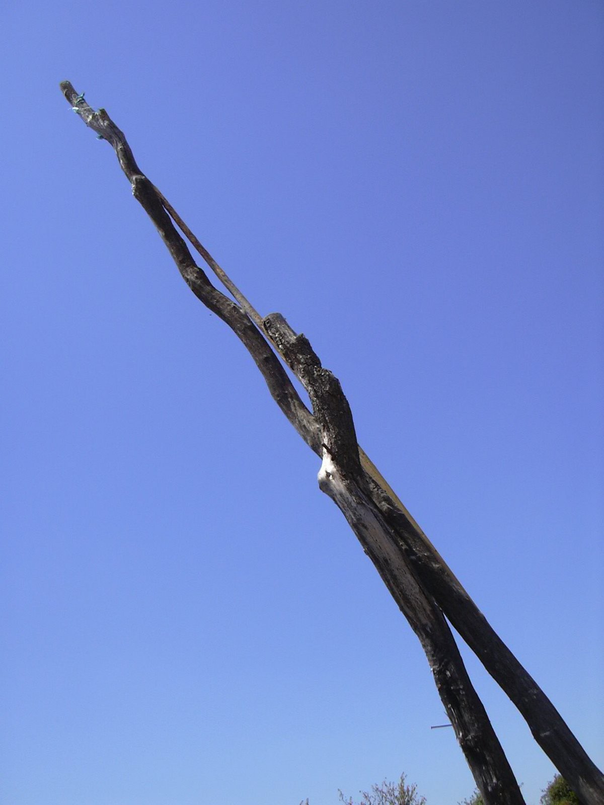 [DSCN0083.JPG]