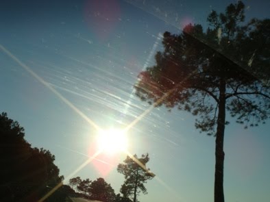 [DSC01861_small.JPG]