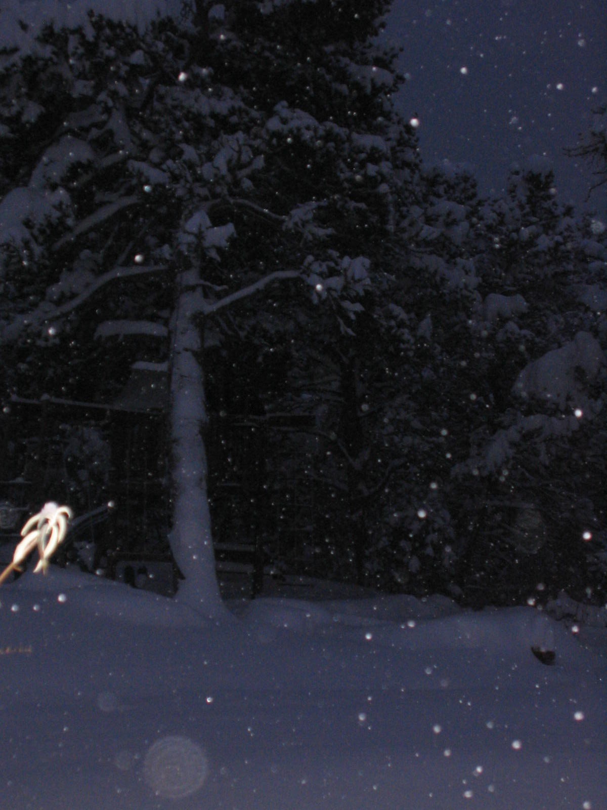 [Falling+Snow.JPG]